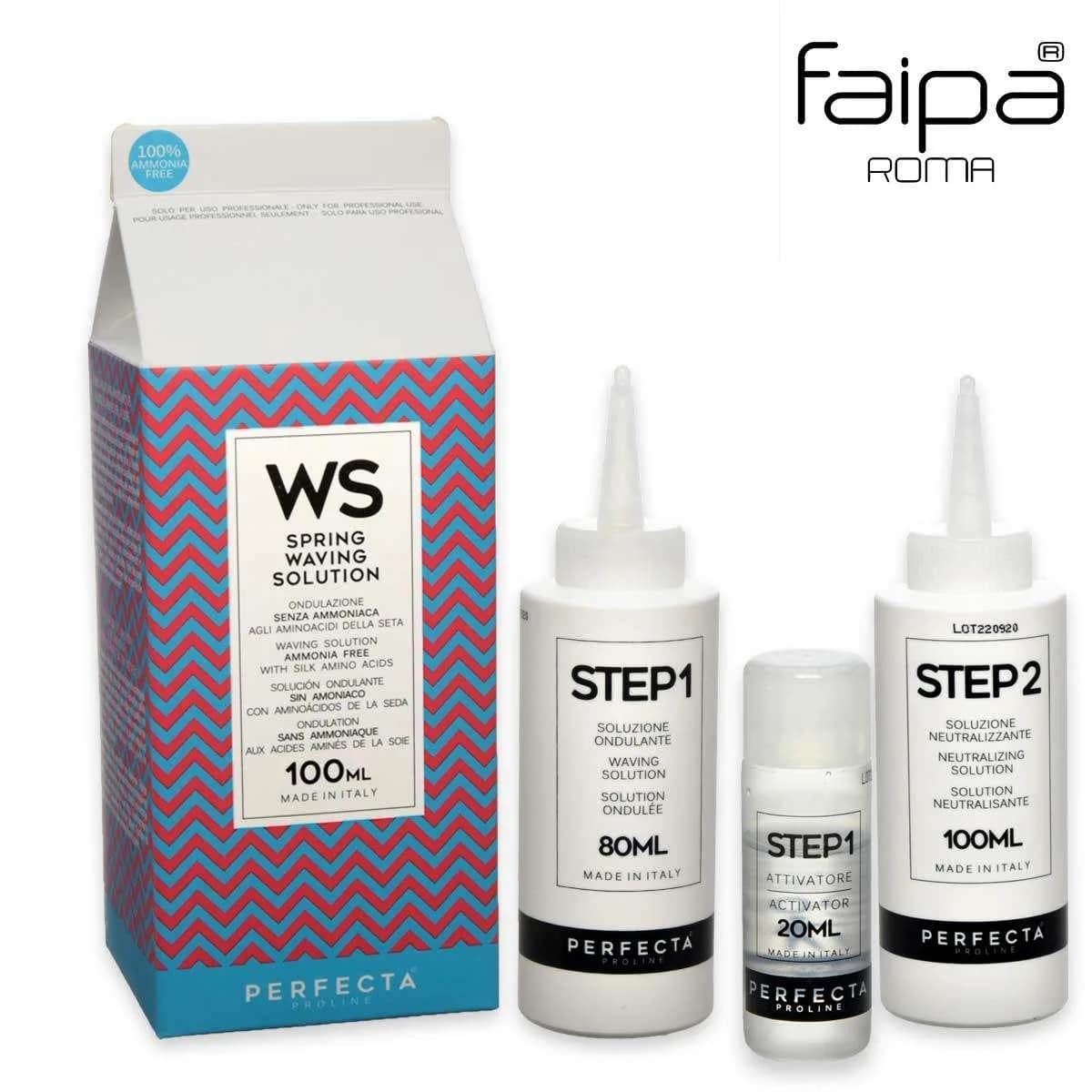 Permanente Senza Ammoniaca Perfecta Ws Spring 100 ML